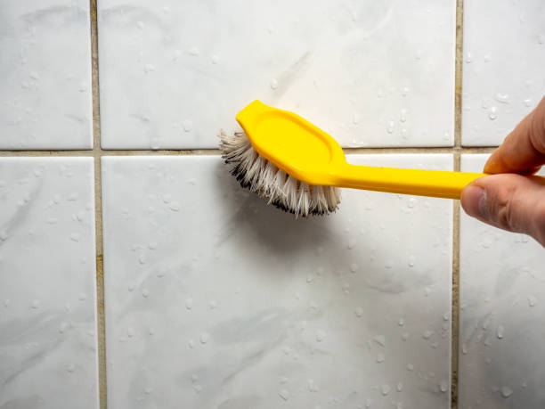 Best Health and Safety Mold Remediation in Ringgold, LA