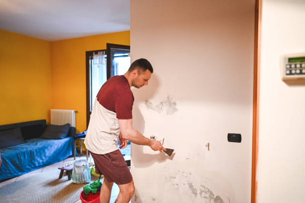 Best Mold Testing and Inspection Services in Ringgold, LA